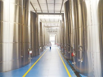 万兴隆公司 姜酒产品创新研发之路，技术驱动健康饮品新潮流